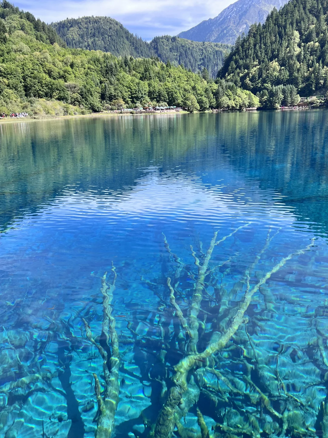 在九寨沟💙见证了一场蓝色的盛宴