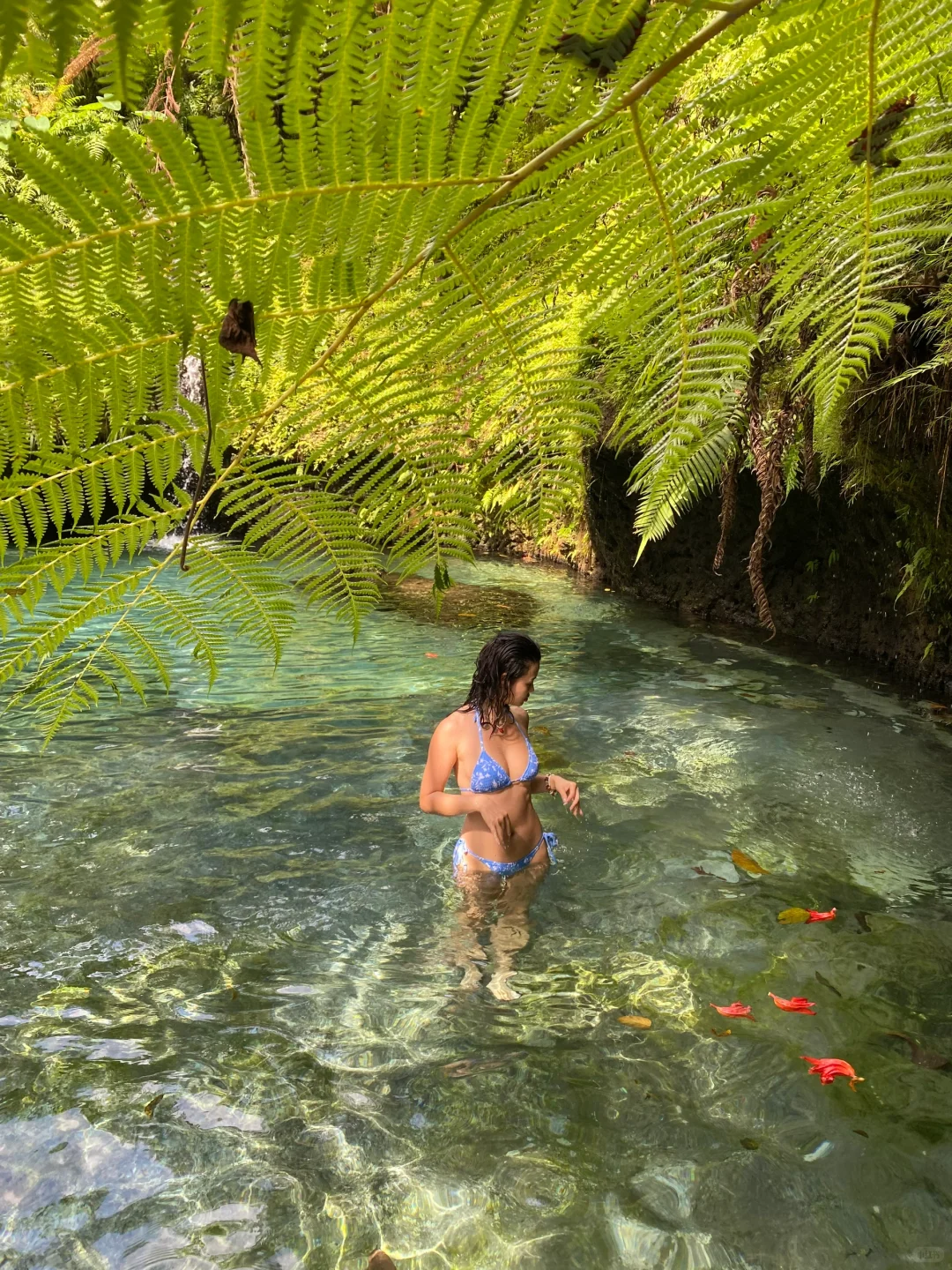 🌸误入人间仙境🍃