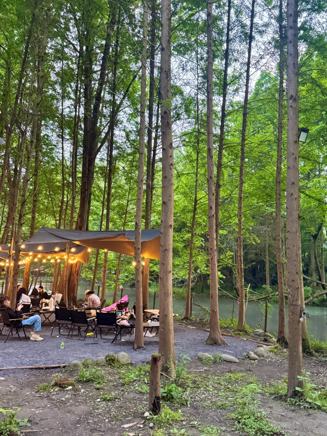 🍃五一还没想好去哪？冲这个神仙森林营地！！