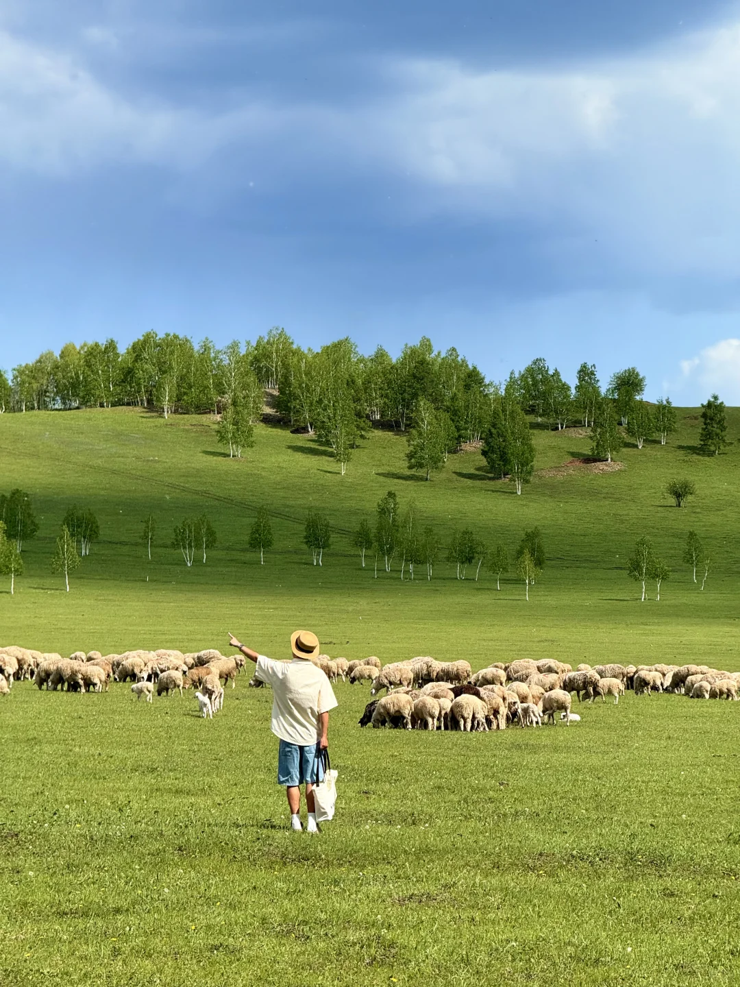 18张live！初夏的呼伦贝尔杀疯了！！！