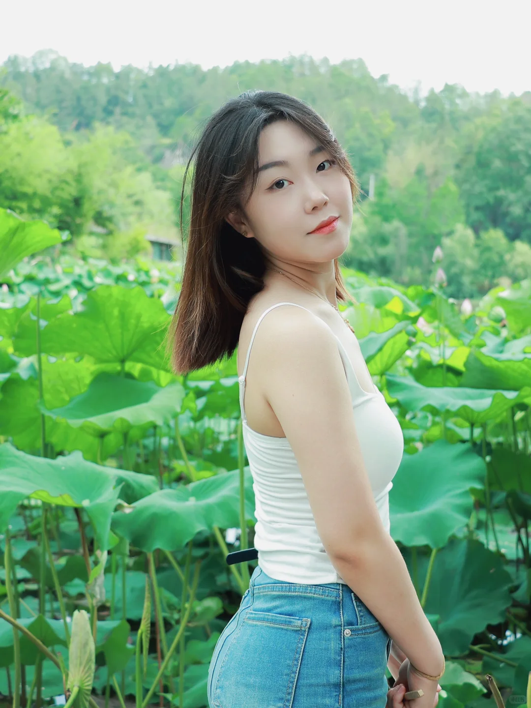 在荷塘里拍到了人生照片荷花池荷花