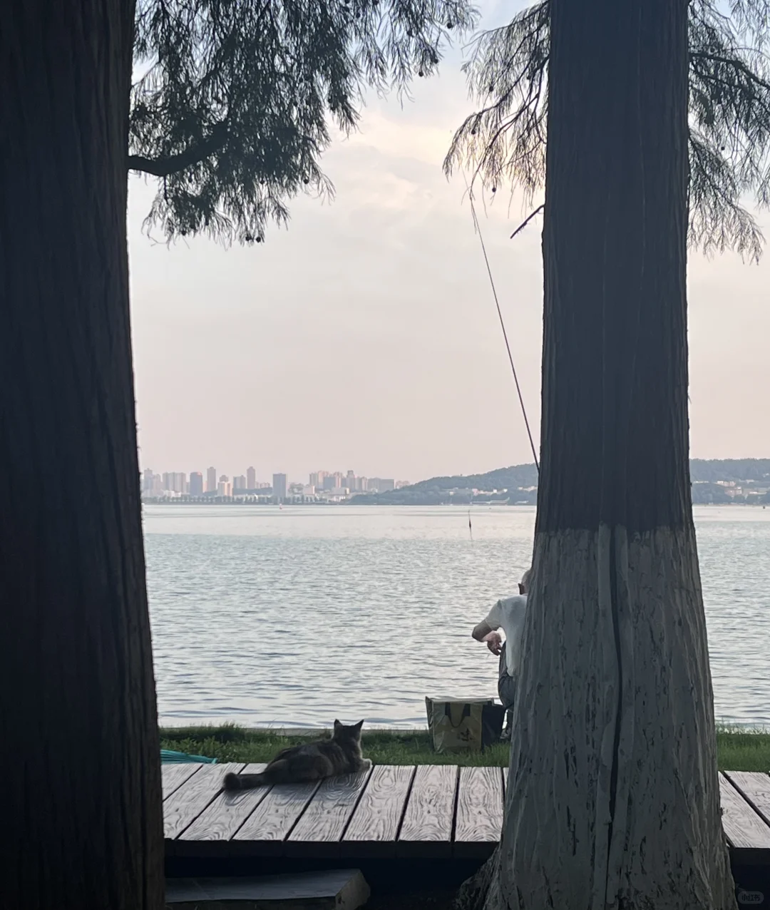 东湖听涛景区 i人的散步天堂🌈