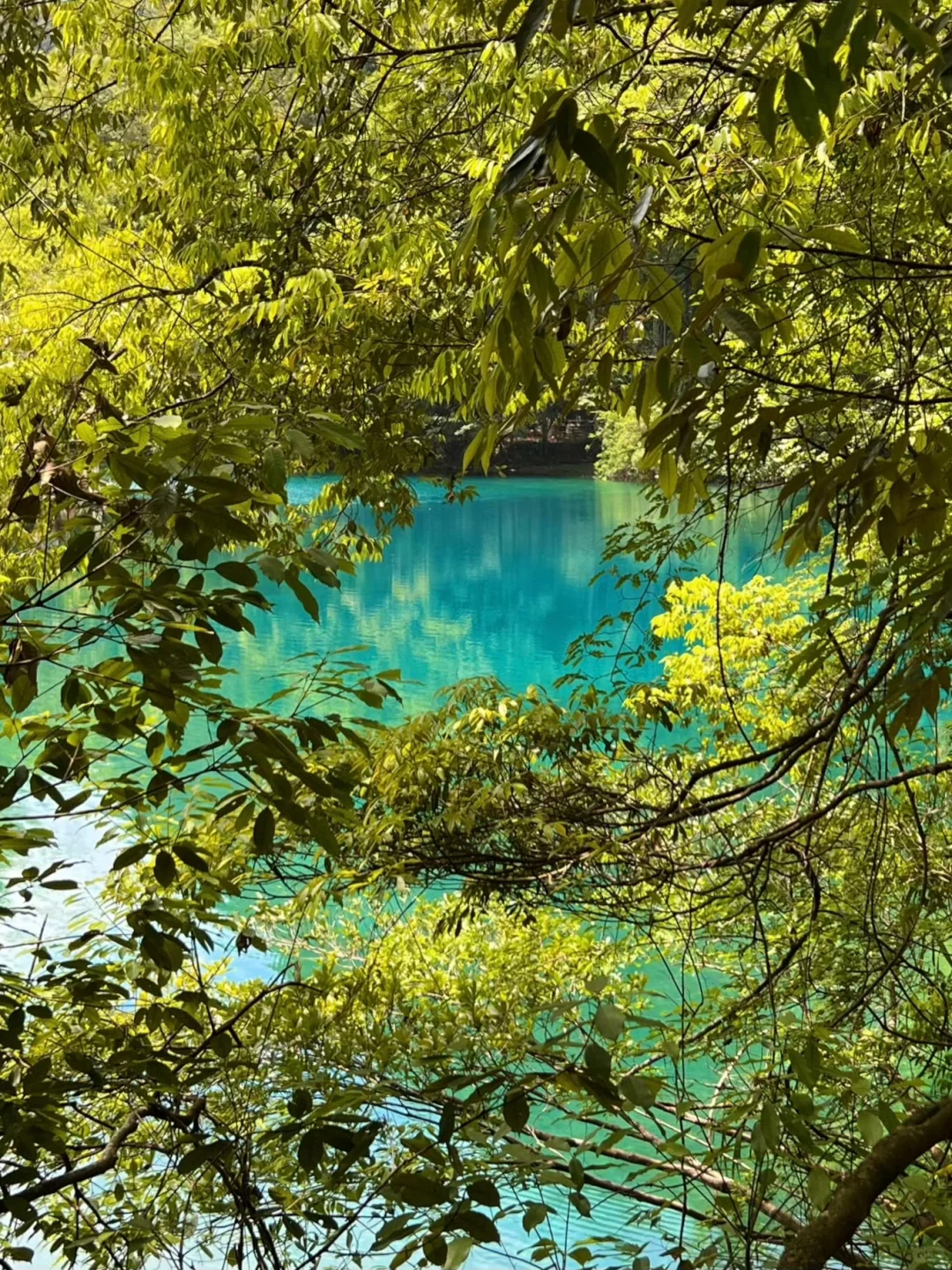 贵州四天三晚旅行攻略,轻松不废腿!