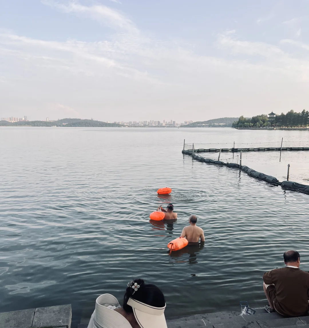 东湖听涛景区 i人的散步天堂🌈