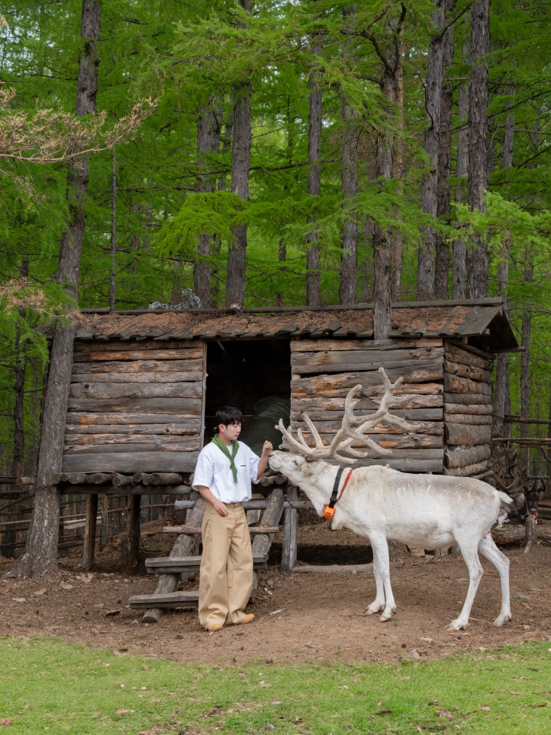 朋友圈问疯了！不是瑞士新西兰，在呼伦贝尔