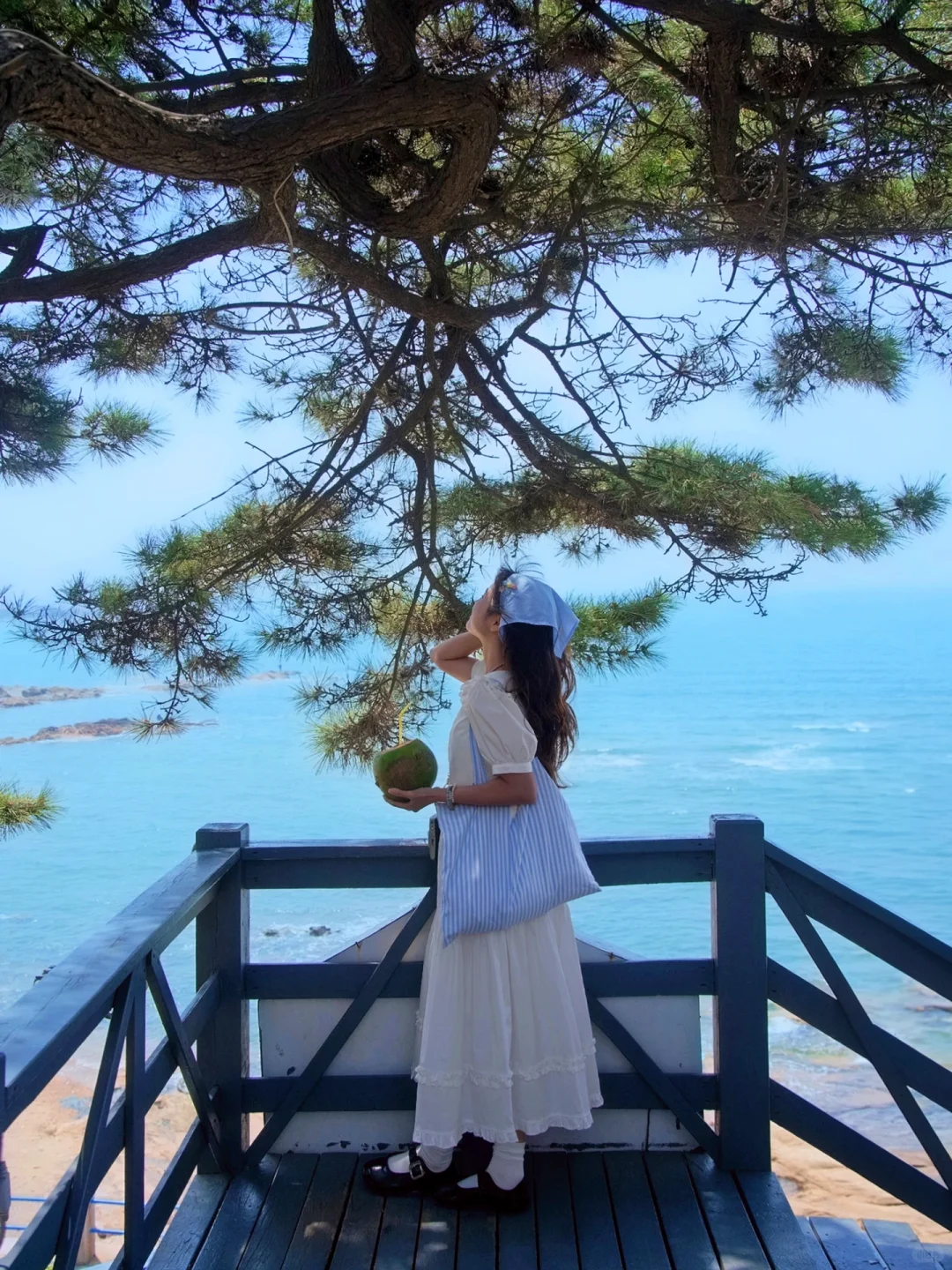 迄今为止，我最想定居的滨海城市就是它！！