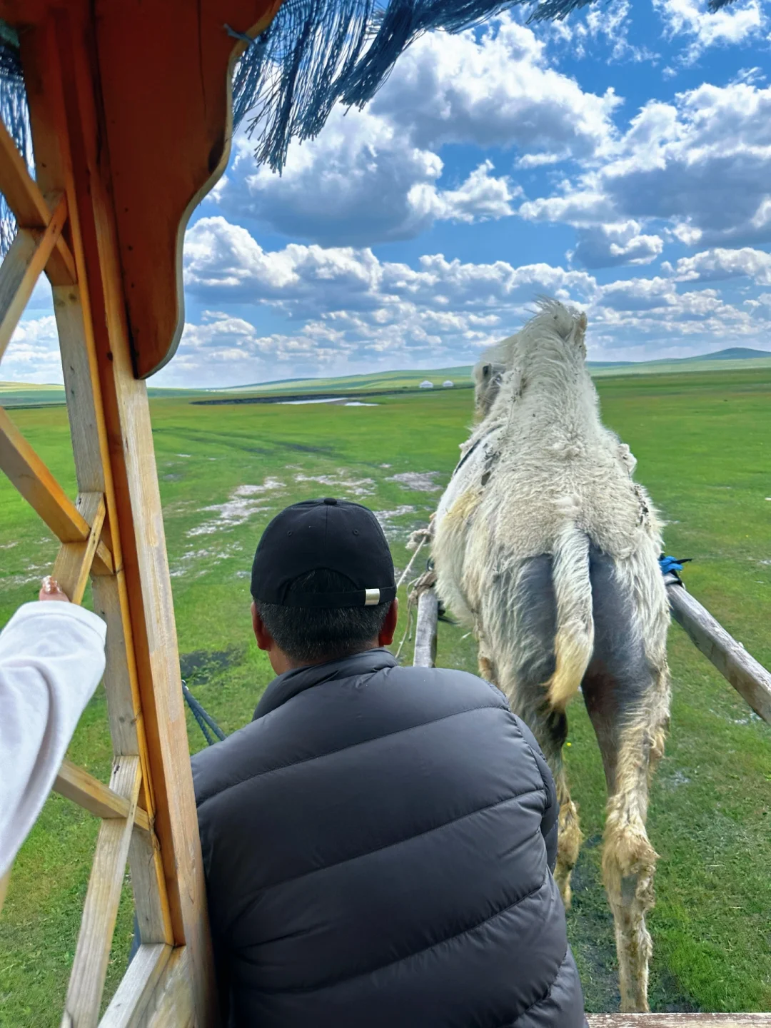 实拍！呼伦贝尔这18张live图我能记一辈子🥺