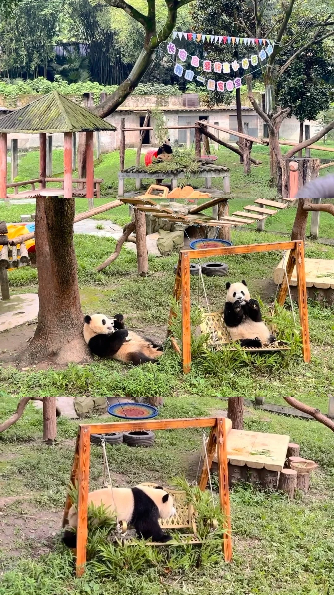 ✨一不小心到了重庆🌉