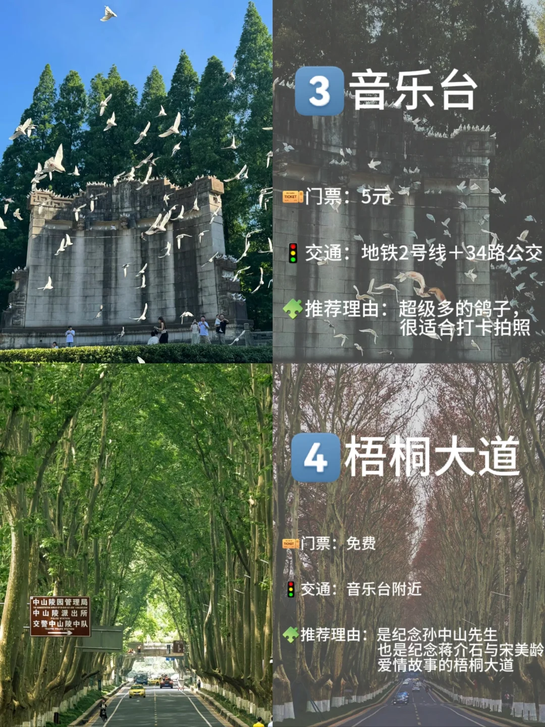 ❗️❗️暑假来南京必去九大景点推荐❗❗️