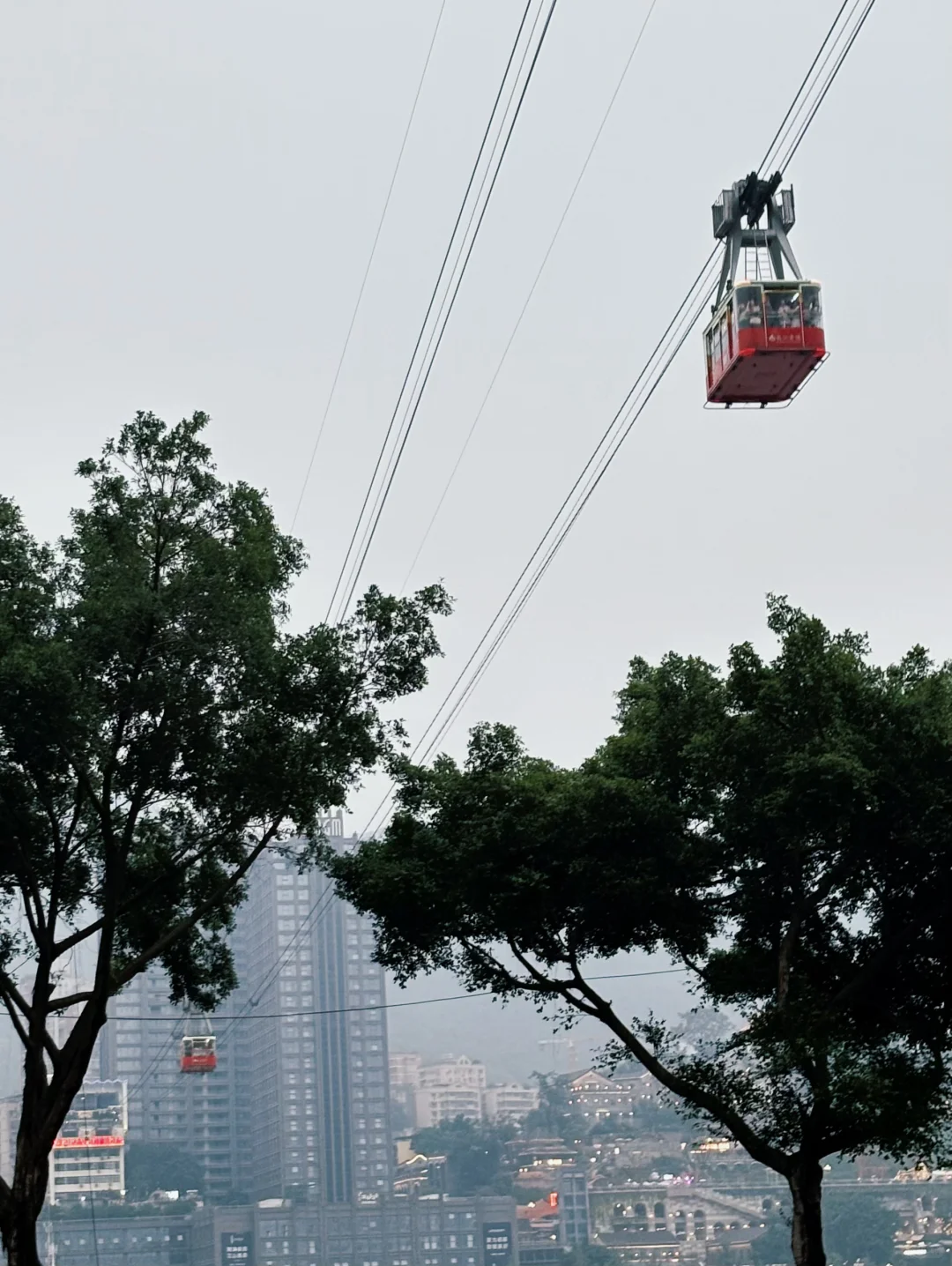 ✨一不小心到了重庆🌉