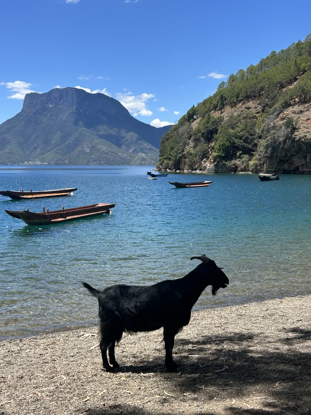 6.7泸沽湖live 晴天的泸沽湖每一帧都很美