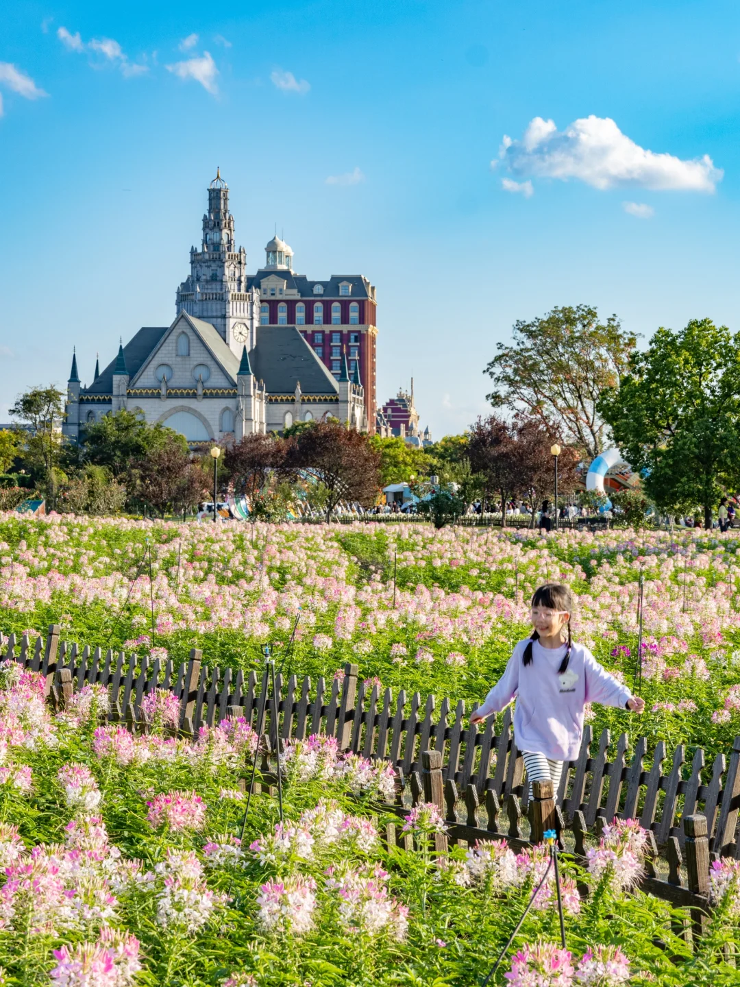 6年亲子游：娃眼里最好玩的6个地方