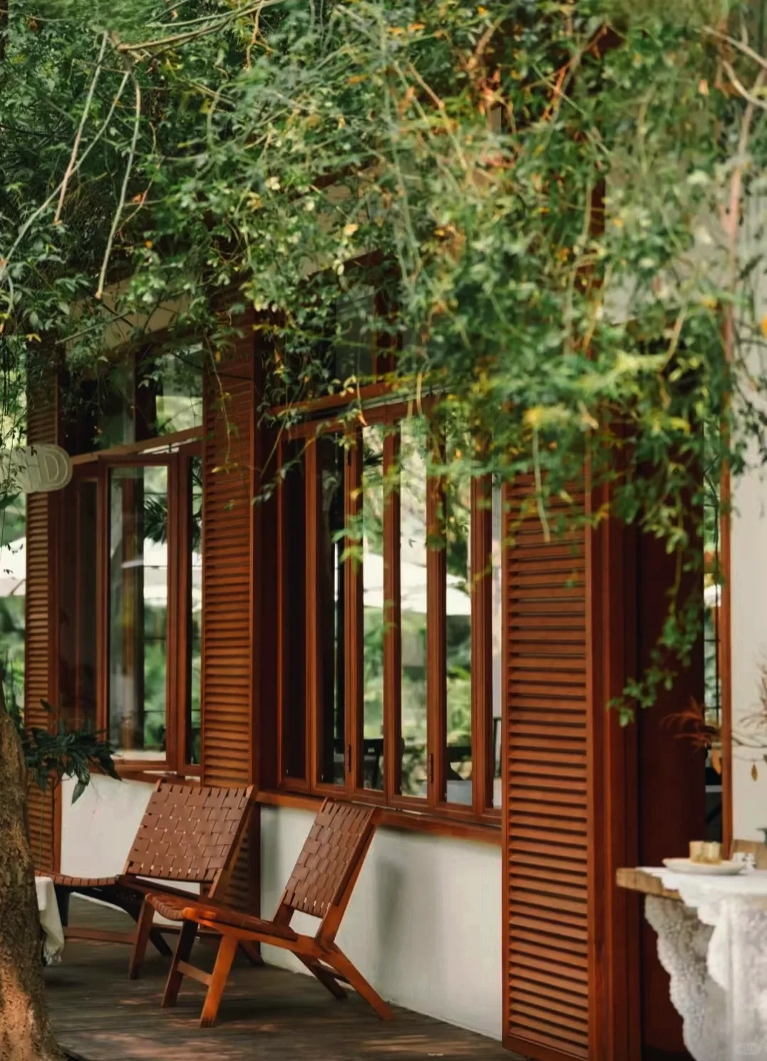 暑假来成都，附详细游玩攻略给大家