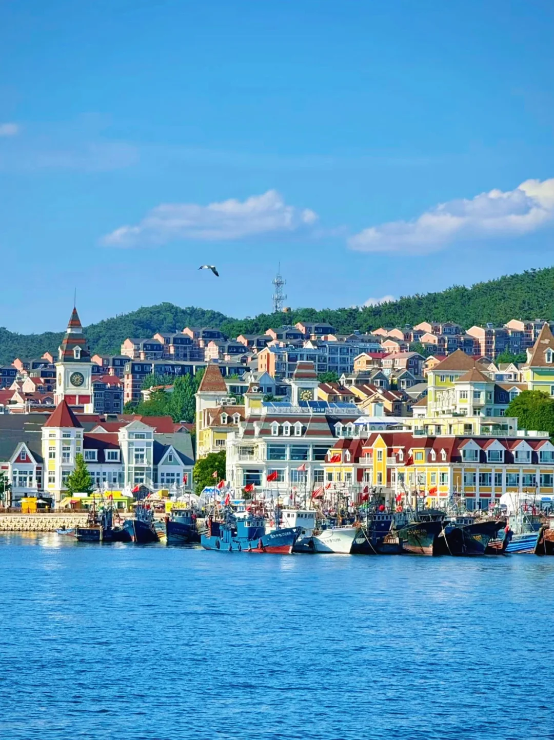 迄今为止，我最喜欢的海边城市出现了