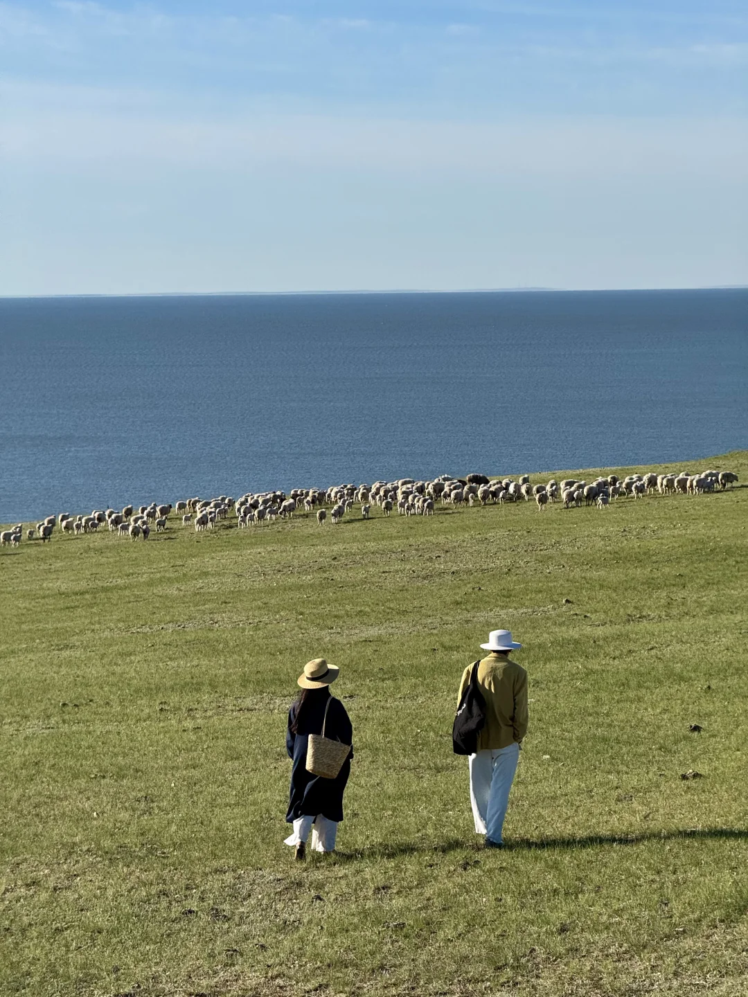 live图 不敢相信，草原的尽头是大海～