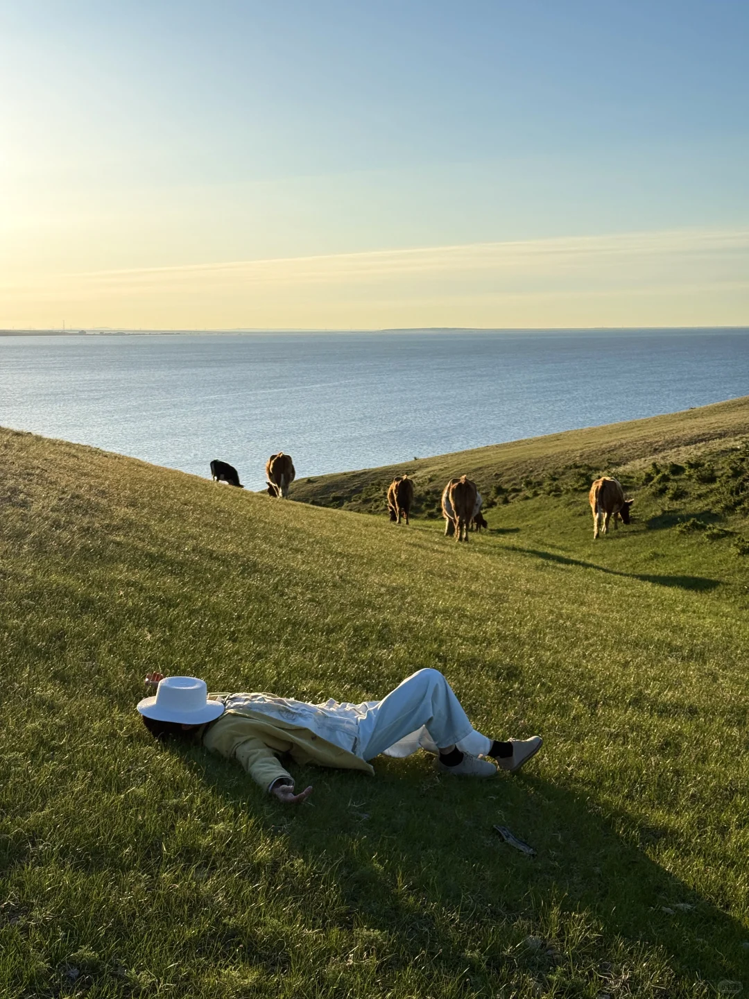 live图 不敢相信，草原的尽头是大海～