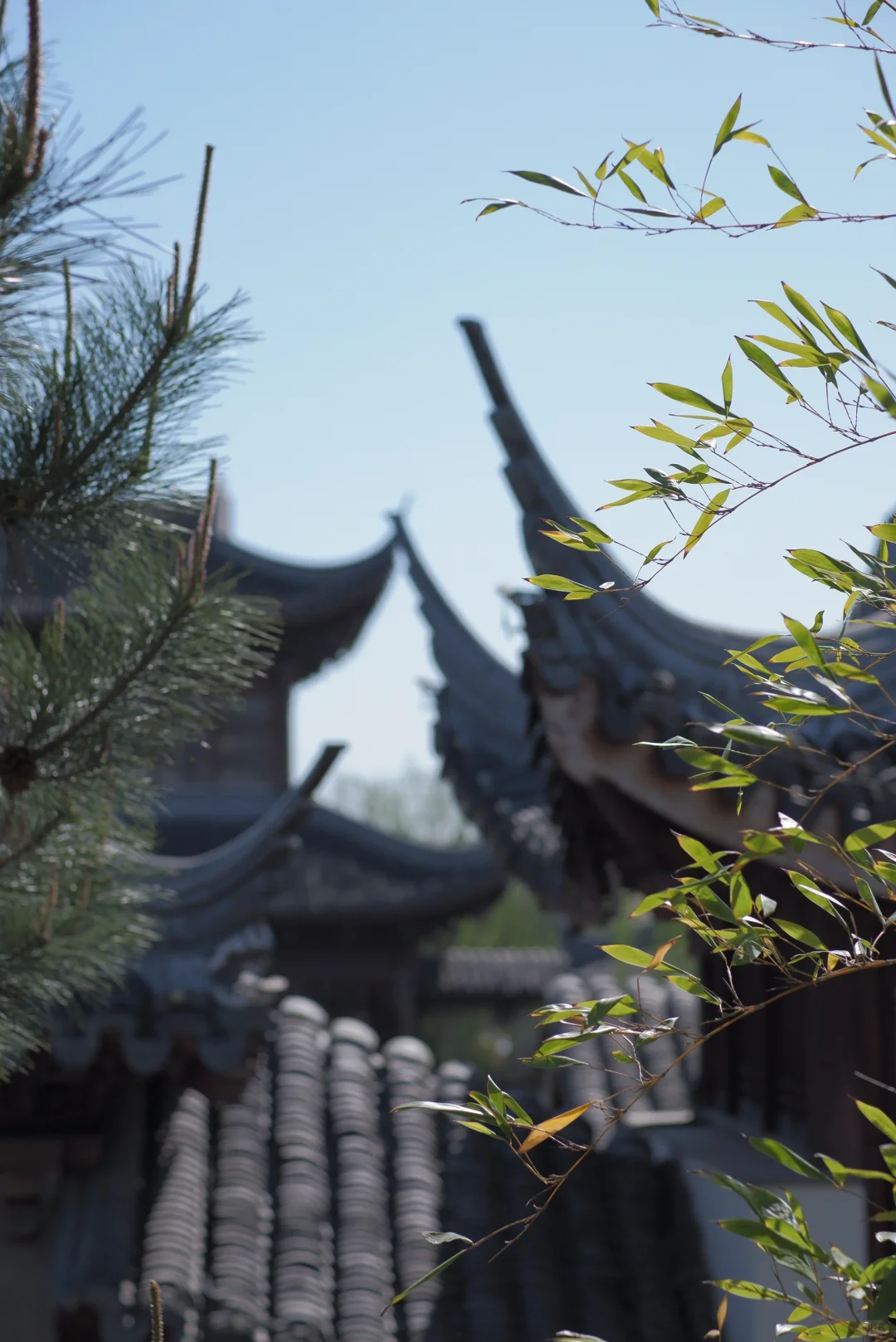 山东临清｜被严重低估的运河古城！