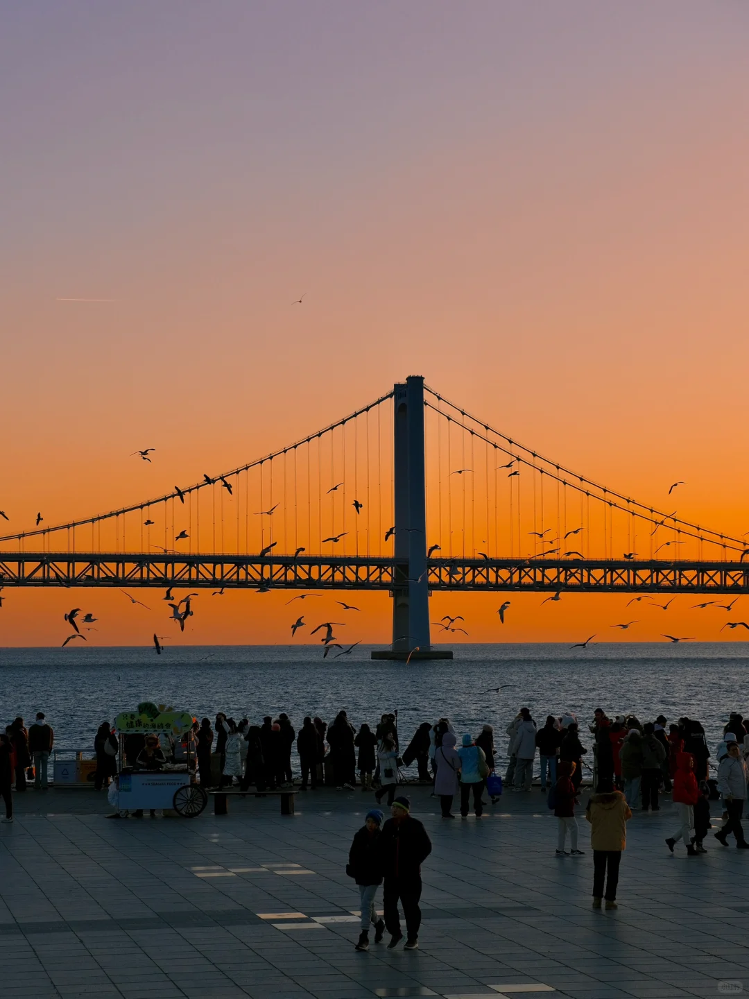 海边城市才有的lalaland…美在了我的心尖上