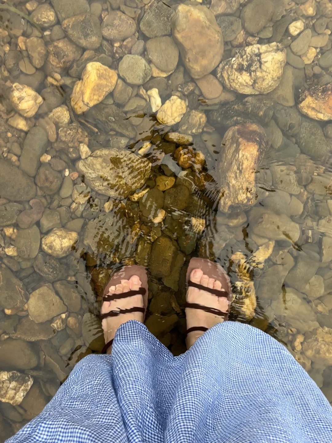 景德镇的理想夏日🫧🍑