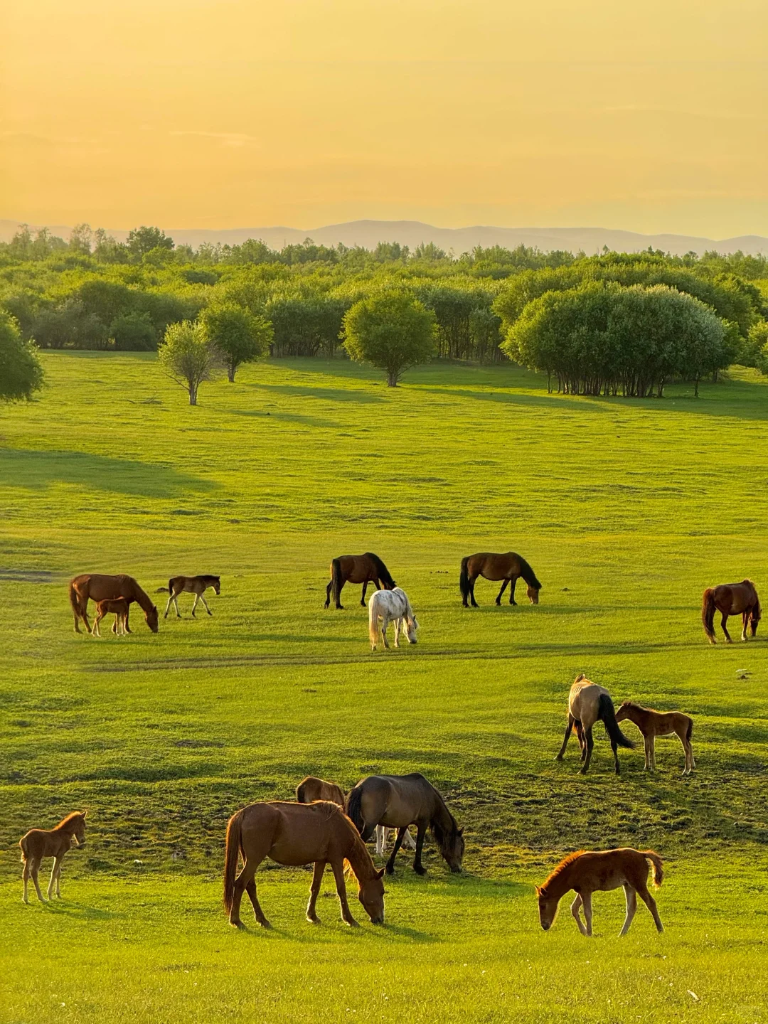 朋友圈问疯了！不是瑞士新西兰，在呼伦贝尔
