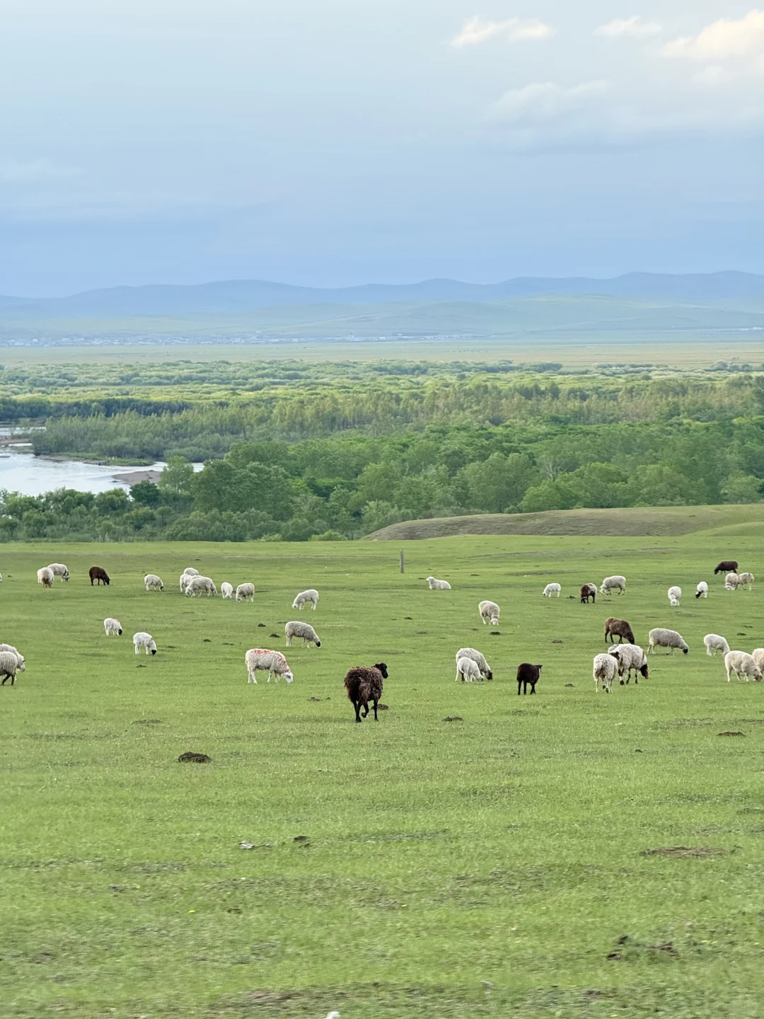 最终,我还是一个人“抛夫弃子”来到呼伦贝尔