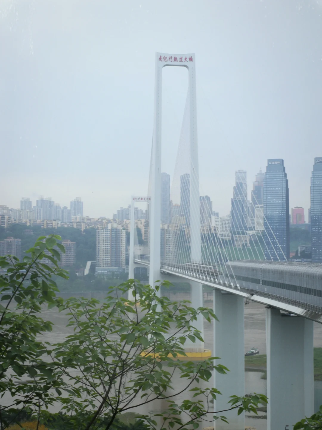 ✨一不小心到了重庆🌉