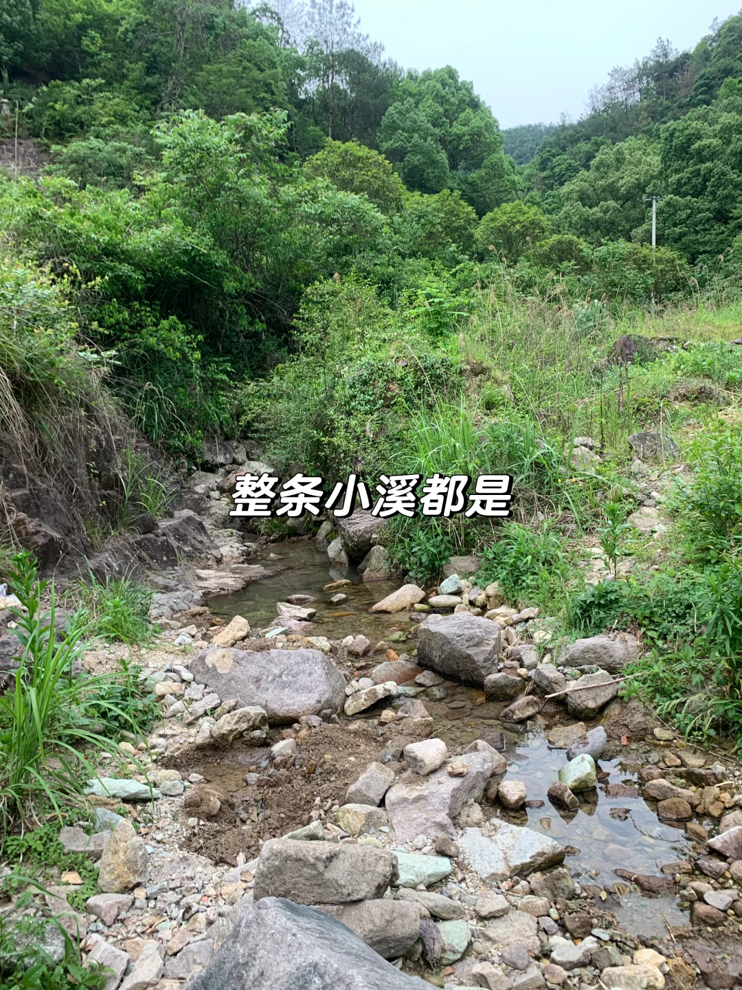 嵊州这里超多💎宝石可捡 | 亲子遛娃好去处