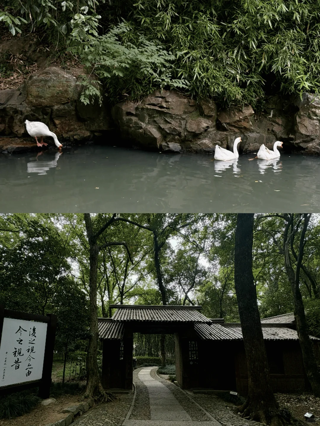 3.5小时极限游绍兴,从鲁迅故居到兰亭