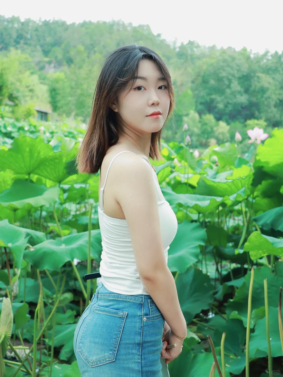 在荷塘里拍到了人生照片荷花池荷花