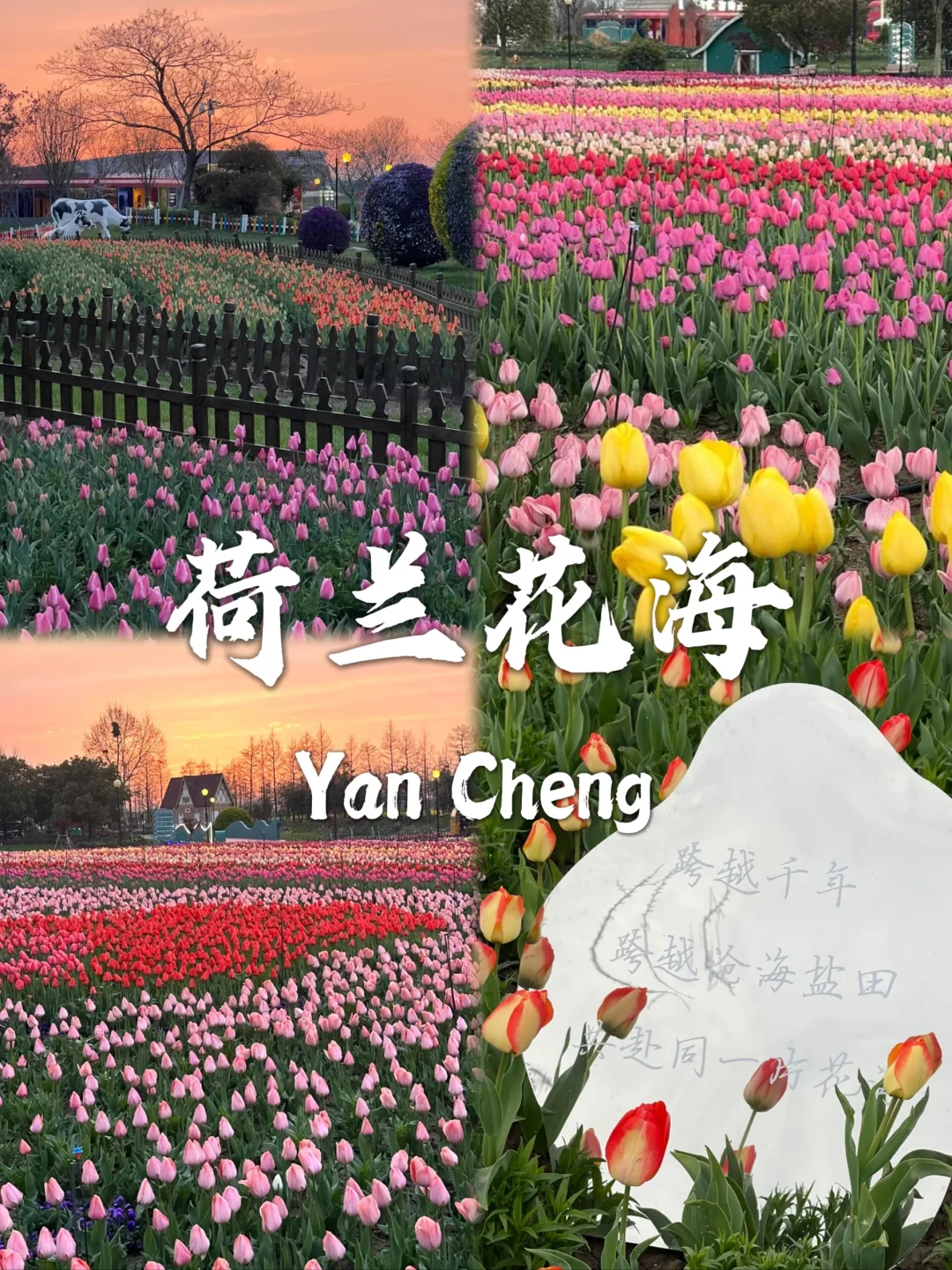 盐城最值得去的九个景点打卡✅