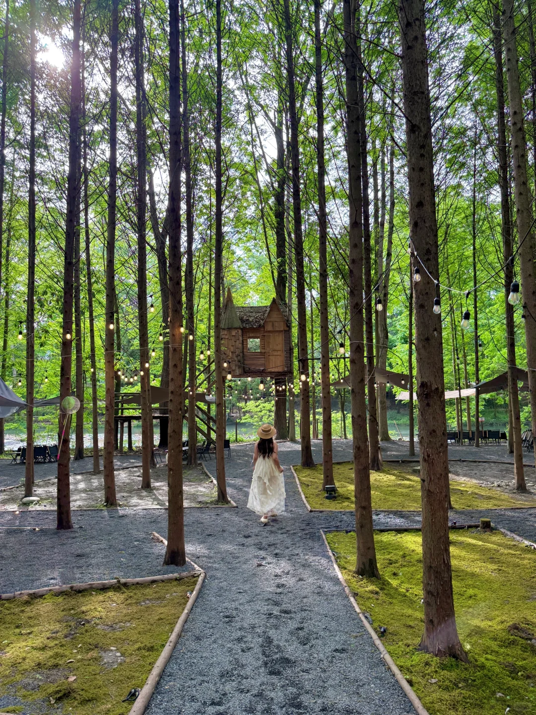 🍃五一还没想好去哪？冲这个神仙森林营地！！