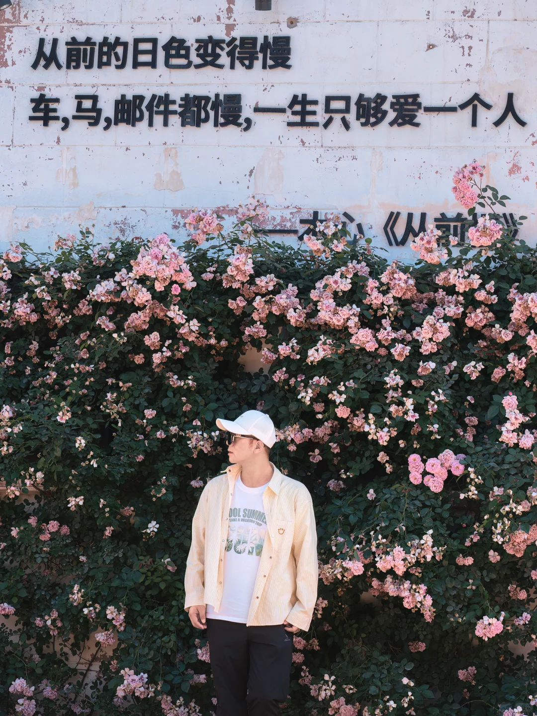 迄今为止，我最喜欢的海滨城市出现了！