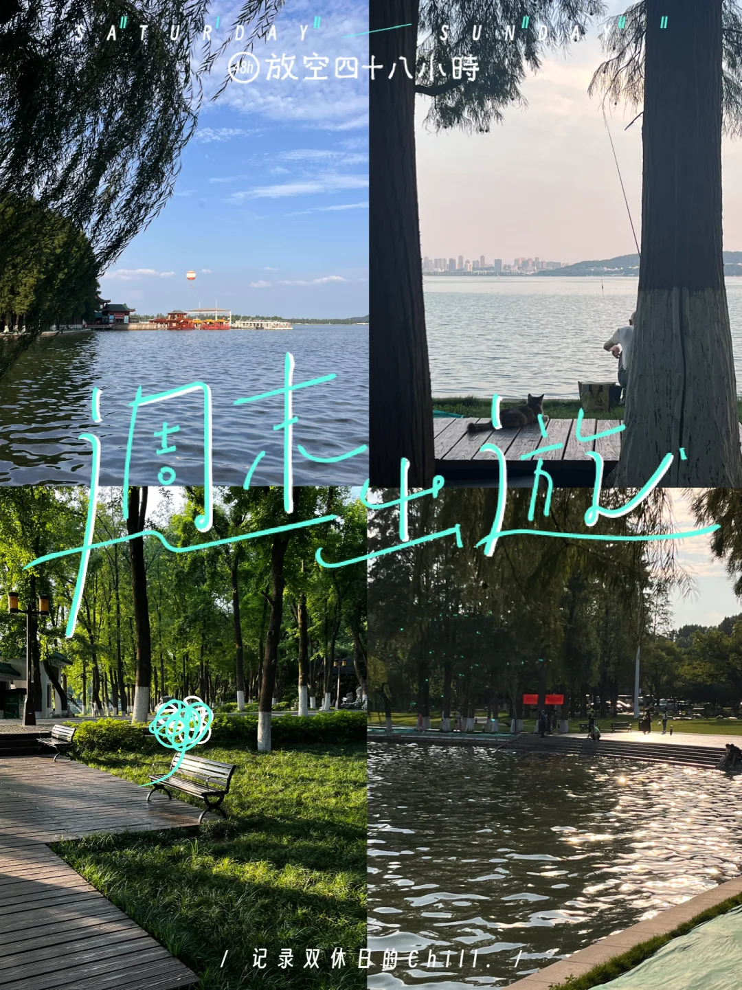 东湖听涛景区 i人的散步天堂🌈