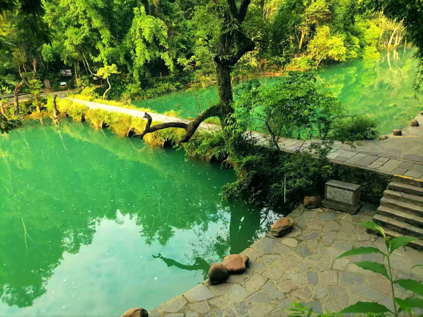 6月16日小七孔景区实况