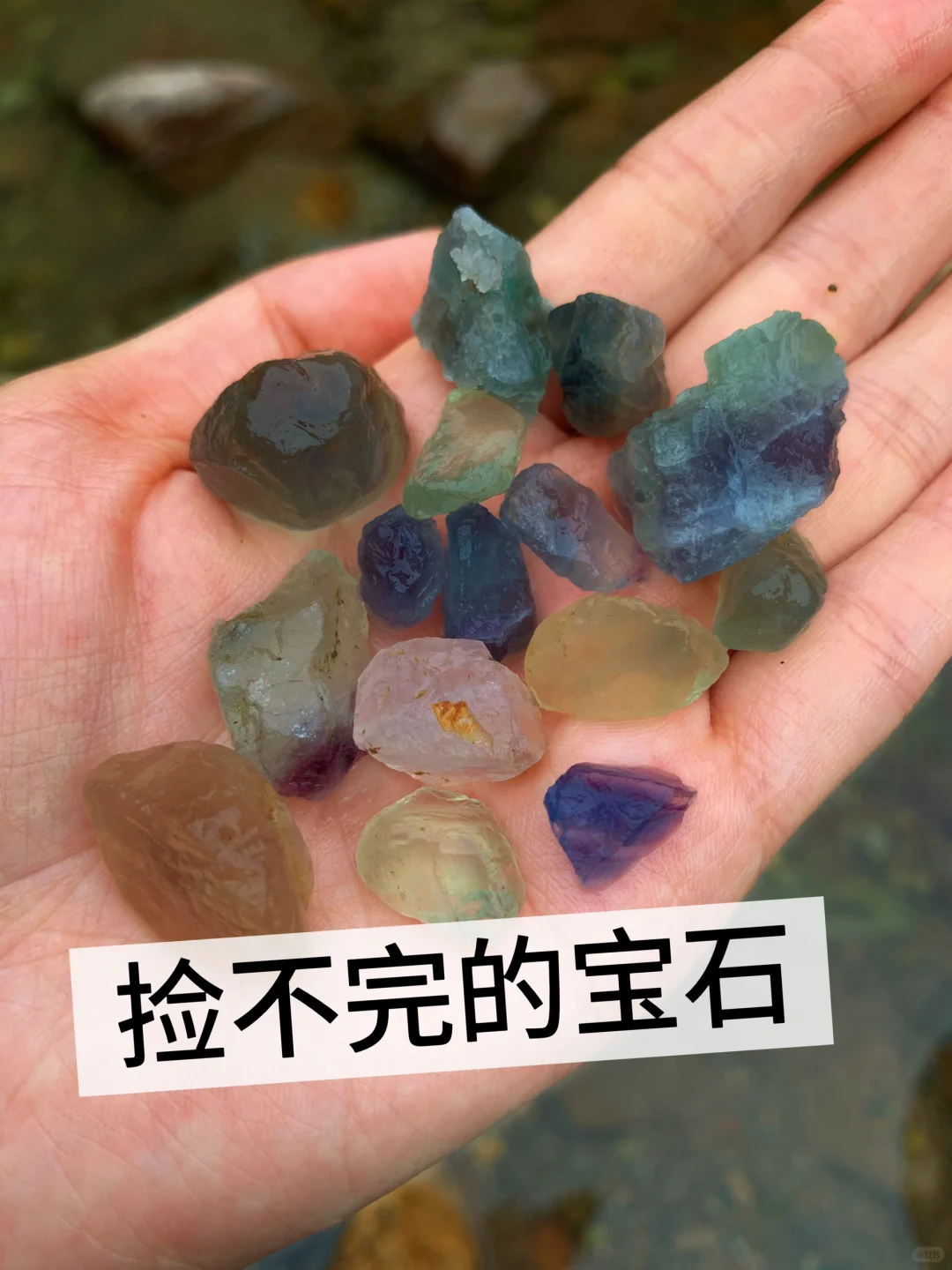 嵊州这里超多💎宝石可捡 | 亲子遛娃好去处