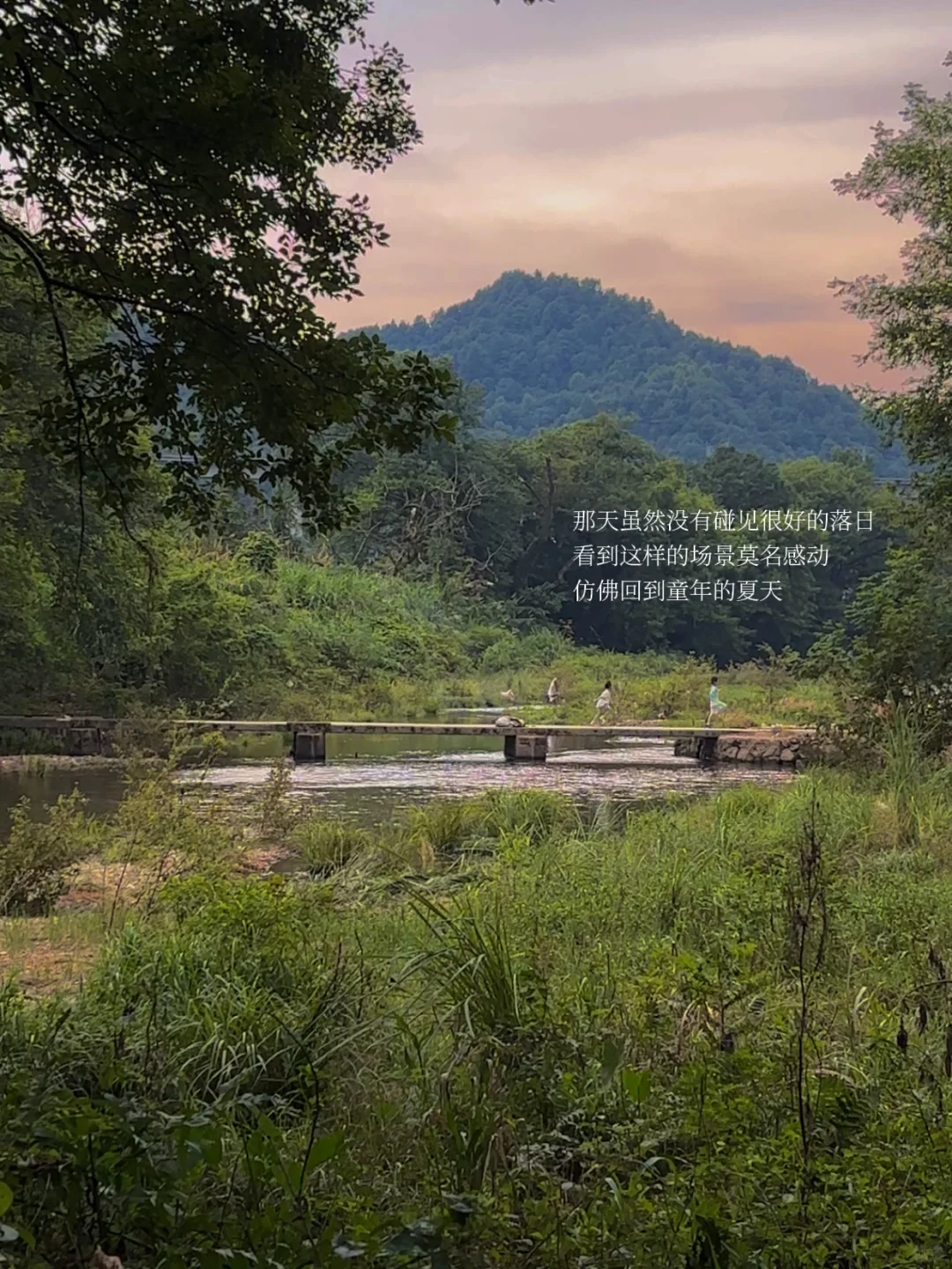 景德镇的理想夏日🫧🍑