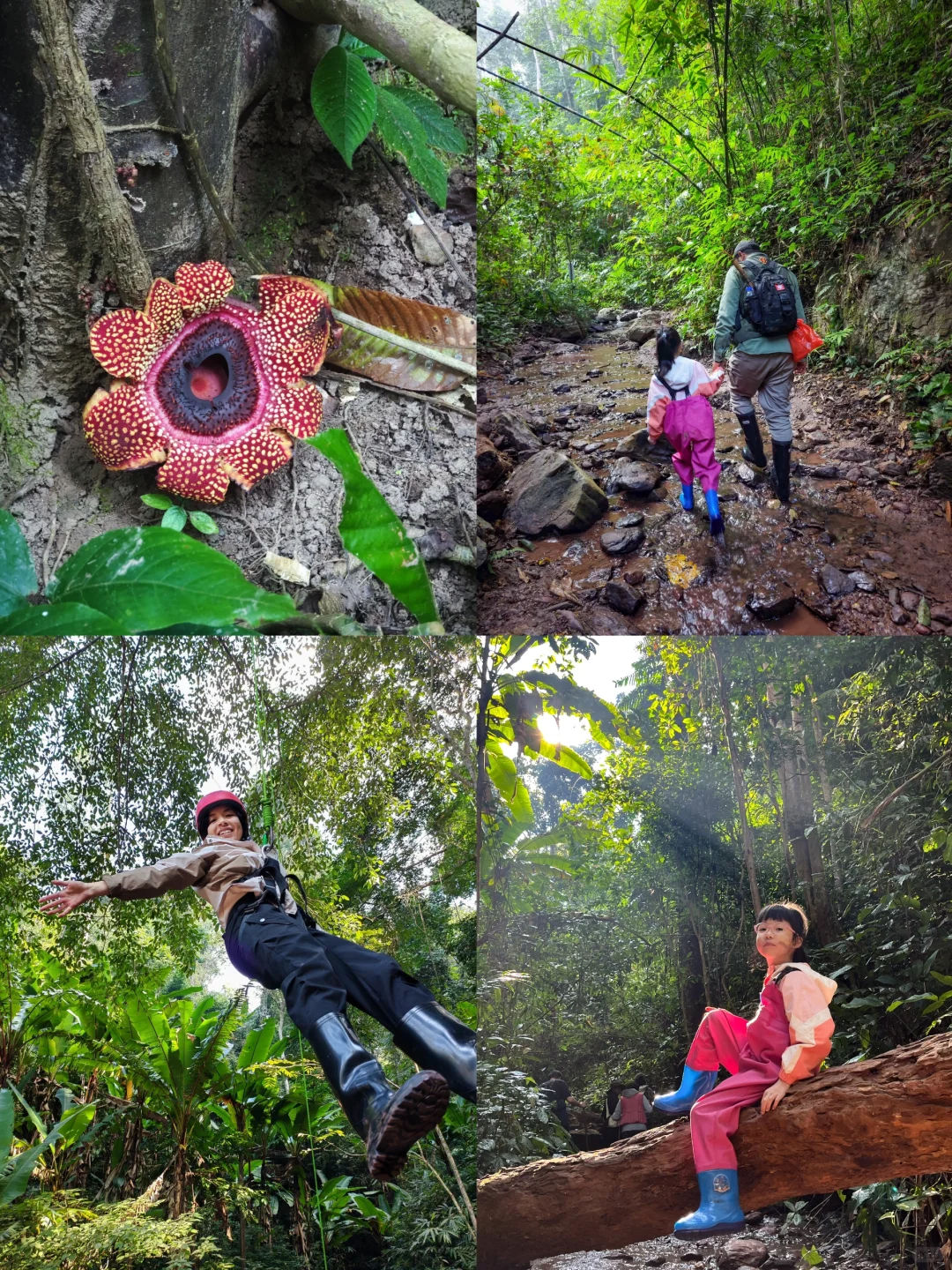 6年亲子游：娃眼里最好玩的6个地方