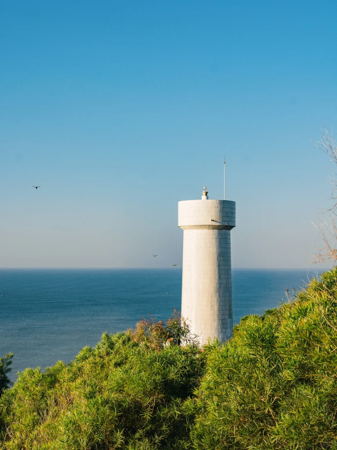 迄今为止,我最喜欢的海城小城出现了