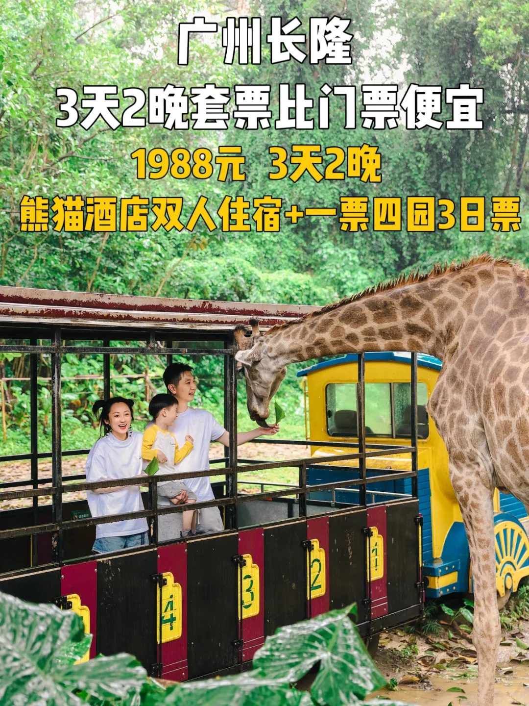 速囤！广州长隆3天，住熊猫玩四园才这个价