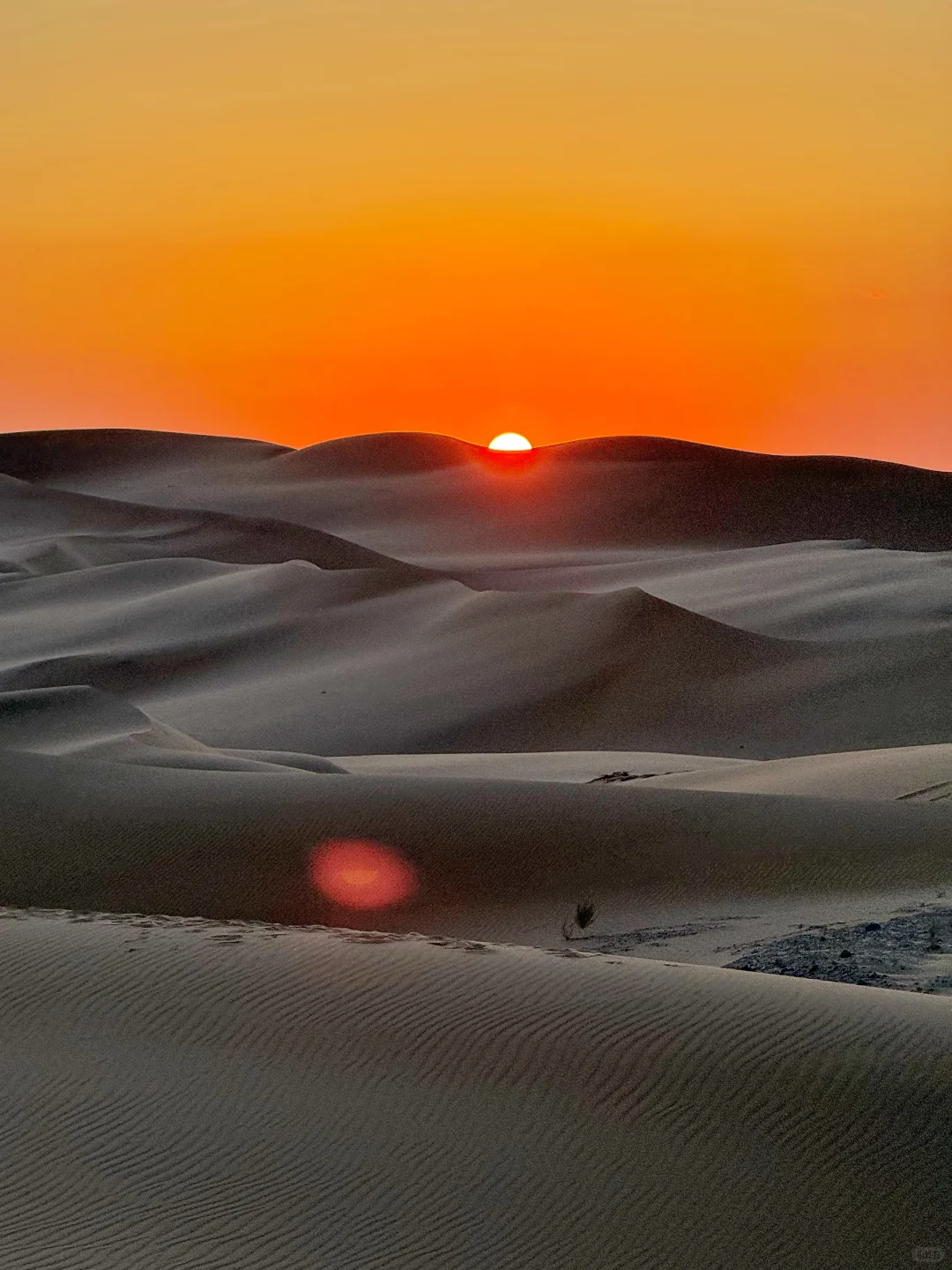 以为中卫够美了，直到我去了乌海…