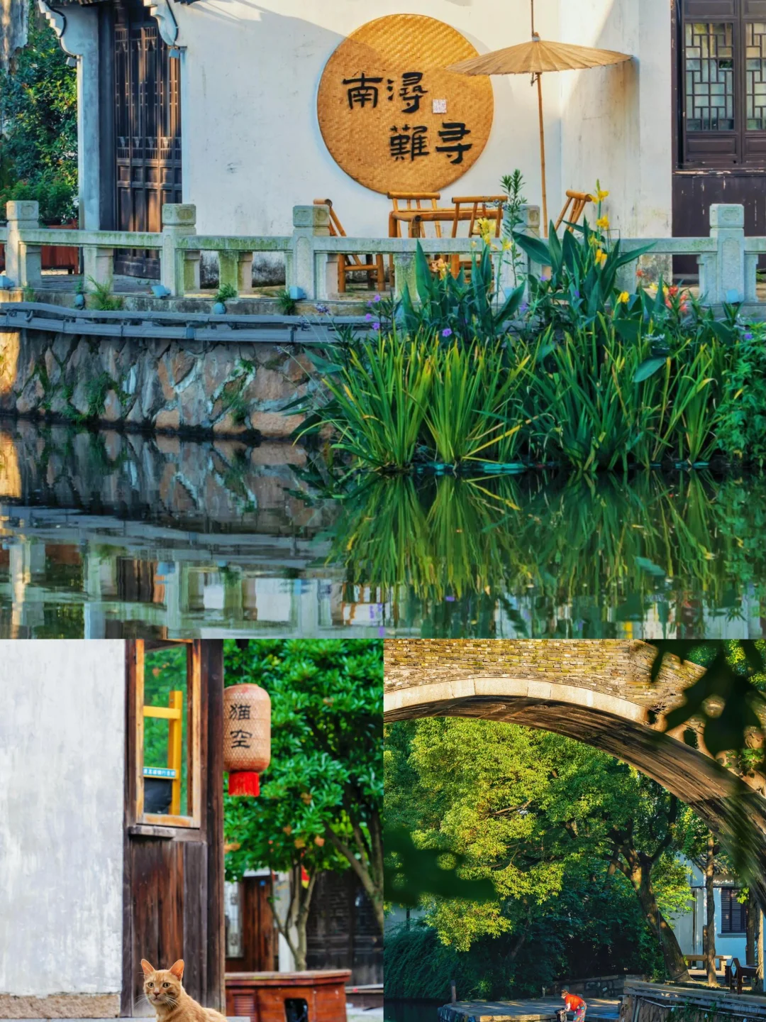 🌈湖州|6-8月淡季真香！人少景美攻略来啦