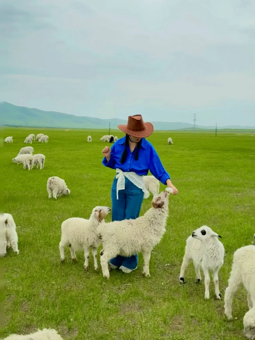 用18张live图打开呼伦贝尔的夏天，附路线🗺