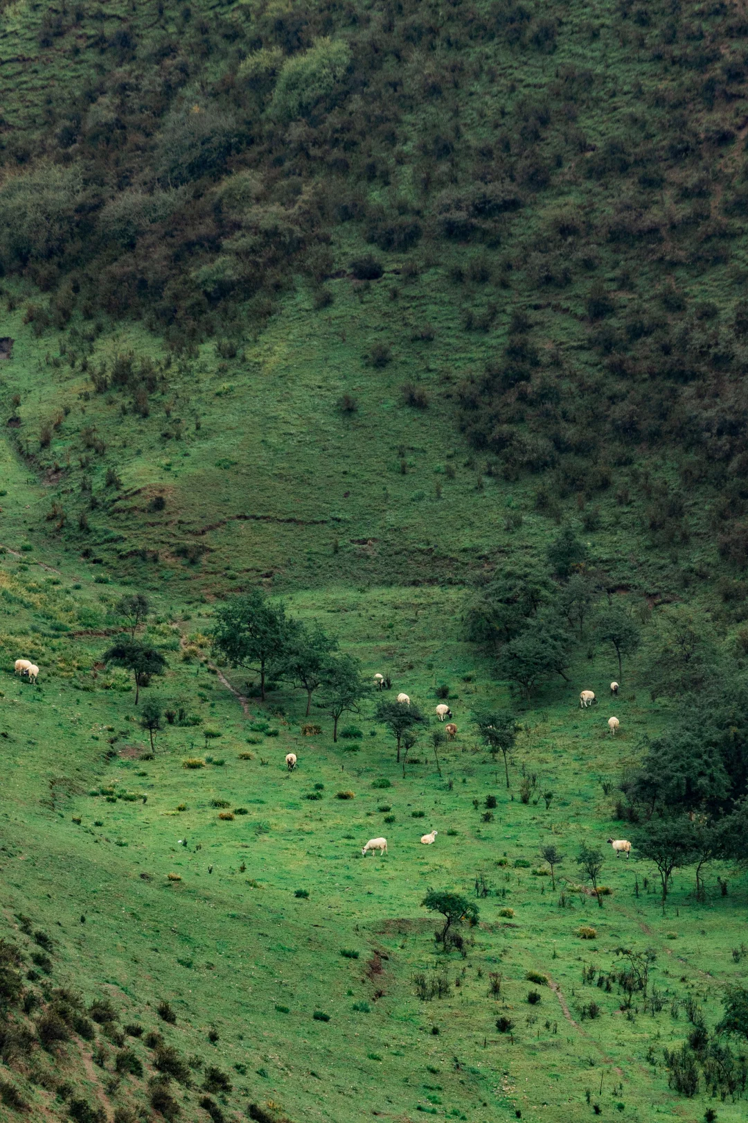 兰州怎么玩 这条绝美路线一定一定要去