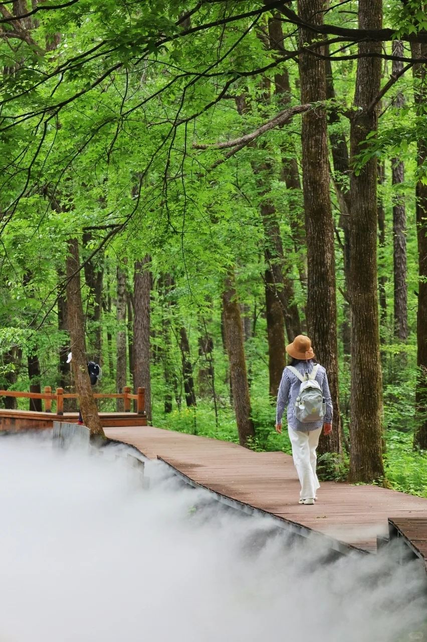 暑假第一件事：带娃去22℃的长白山过夏天