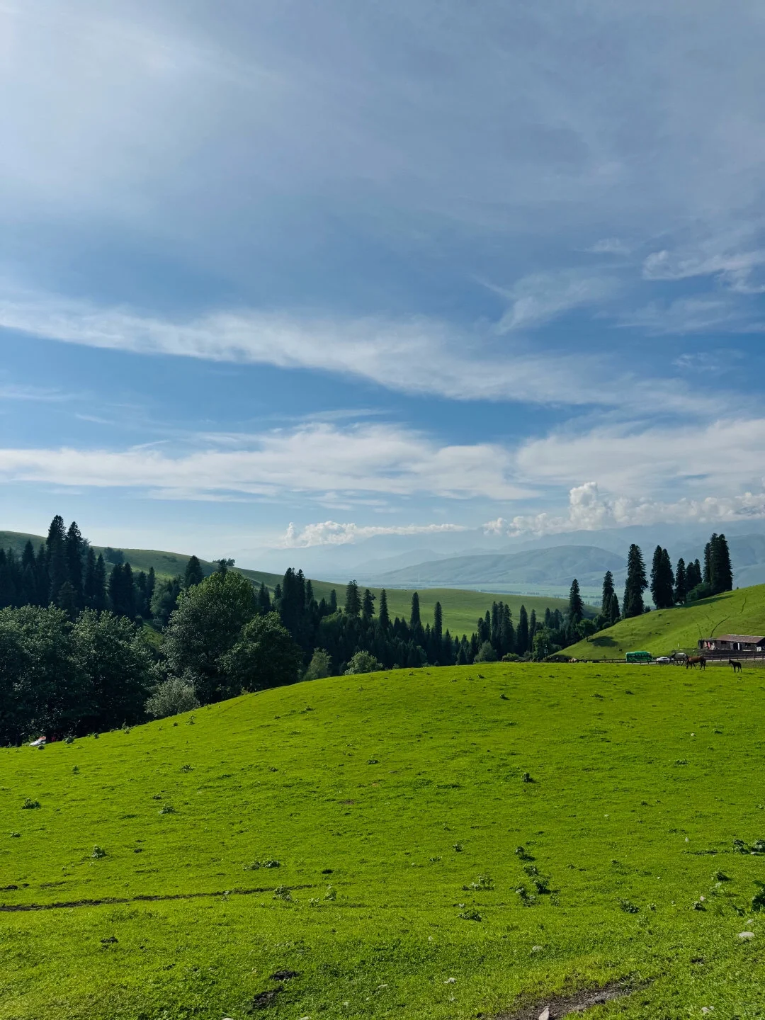 和老公新疆已回📍玩了9天消费观彻底崩塌了