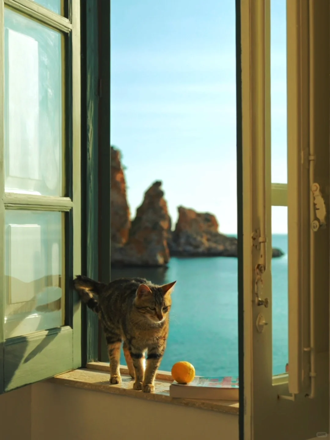 live图的意义｜属于西西里岛的夏日长梦