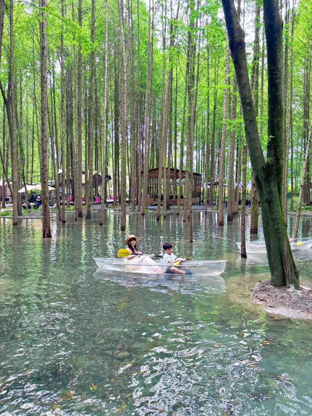 🍃五一还没想好去哪？冲这个神仙森林营地！！