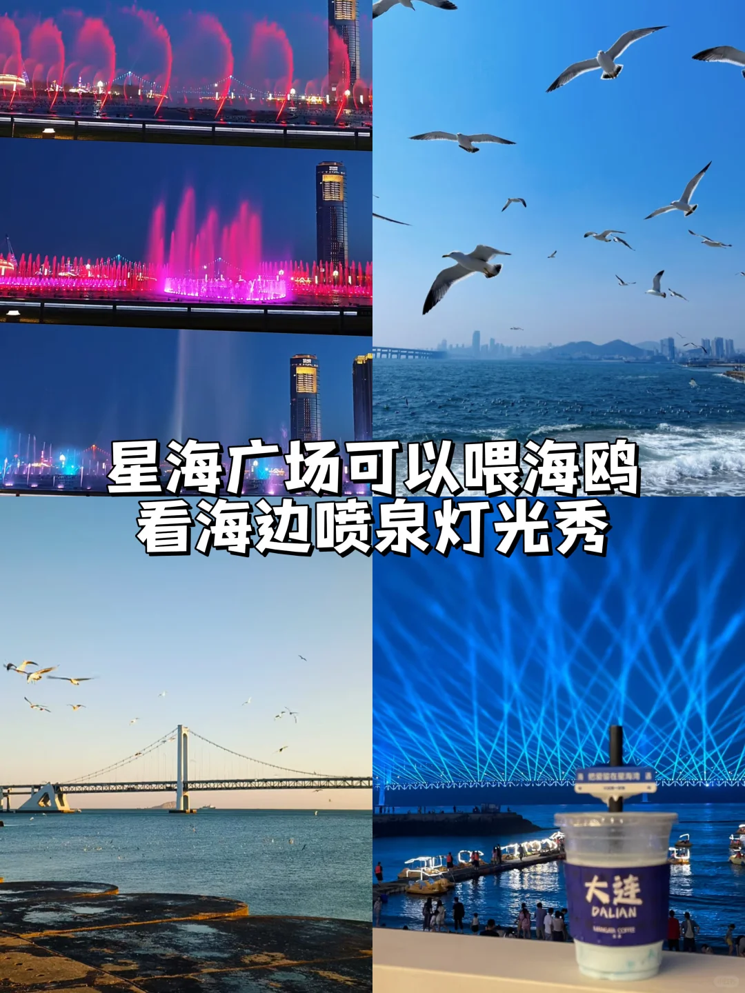 5-8月的大连美到没朋友！感受一下滨城浪漫