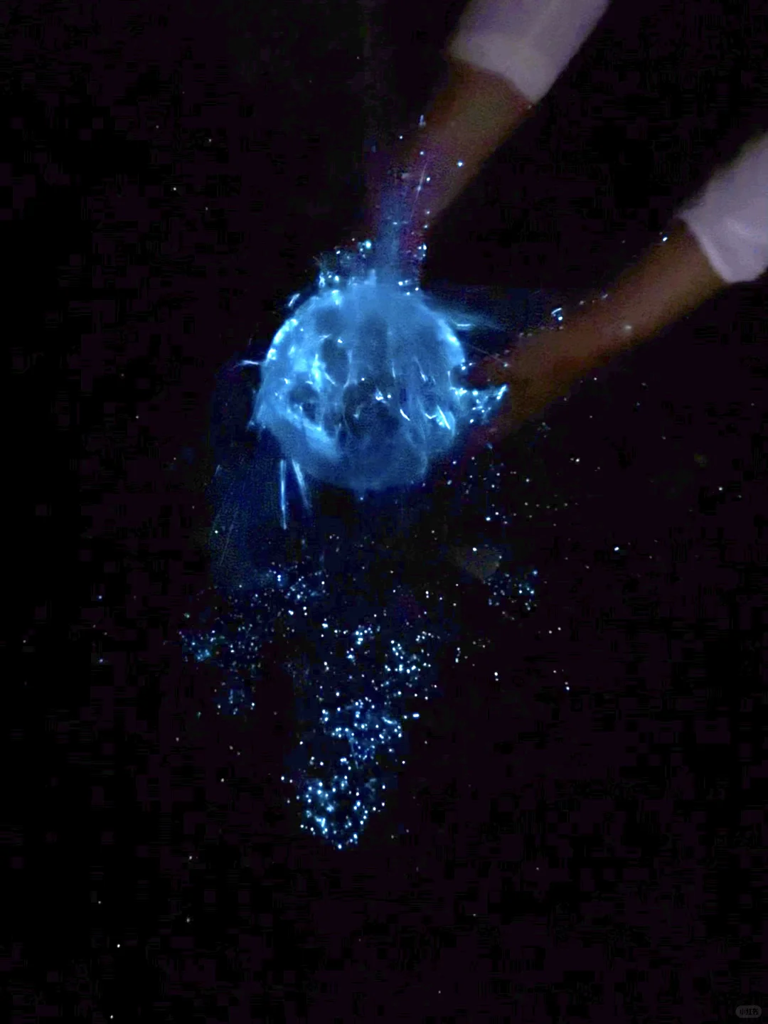 大连刚回来！18张live图不足以表现她的美！！