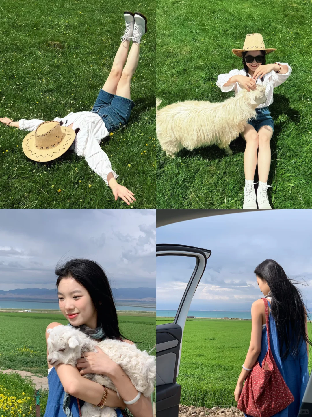 为什么6-8月必须冲青甘?